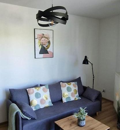 Cosy Apartment W Poblizu Tauron Arena 크라쿠프 외부 사진